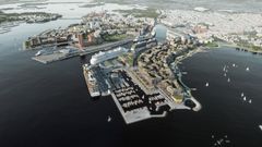 Illustration av Ärtholmen. Bild: Tietoa Oy