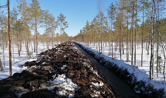 En fåra för återställande av vattenbalansen har grävts på Passmossen i Pedersöre kommun i mars 2021. Dräneringsvattnet som kommer från diken leds vidare så att det kommer till nytta i Naturaområdet.