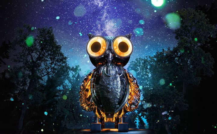 Lux Helsinki 2020 / Jere Suontausta: Mirrorowl (Bubo speculus)