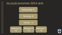 Miesten jalkapallon sarjajärjestelmä 2024