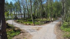 Kuva: Ilari Rautiainen