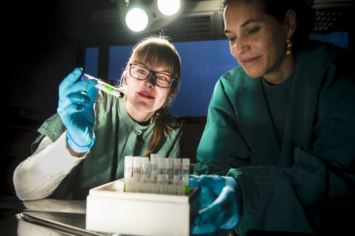 Arkeovirologian avulla voidaan saada arvokasta tietoa menneitä epidemioita aiheuttaneista virustyypeistä tai selvittää esimerkiksi historiallisia muuttoliikkeitä. Kuvassa Mari Toppinen (vas.) ja Maria Perdomo. Kuva: Veikko Somerpuro