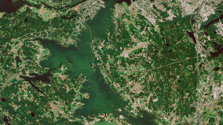 Sinilevää Pyhäjärvessä 13.8.2021. © Sisältää muokattua Copernicus Sentinel-dataa, SYKE (2021)