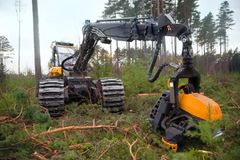 Proforest kokoaa metsäalan ammattilaiset joka toinen vuosi.