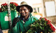 Ravine Roses viljelytilan työntekijä. Kenia 2020. Kuvaaja: Christoph Köstlin.