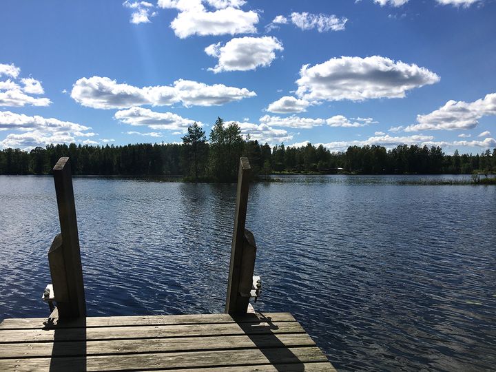 Kuuma ja kuiva hellejakso ei juurikaan ole näkynyt pohjavesien pinnankorkeuksissa. Kuva: Pirkanmaan ELY-keskus