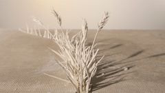 Katie Spragg: The Wilds of 5 Lely Court, 2016. (Katukiveyksen erämaa). Still.
Pysäytyskuva-animaatio / Stopframe animation.