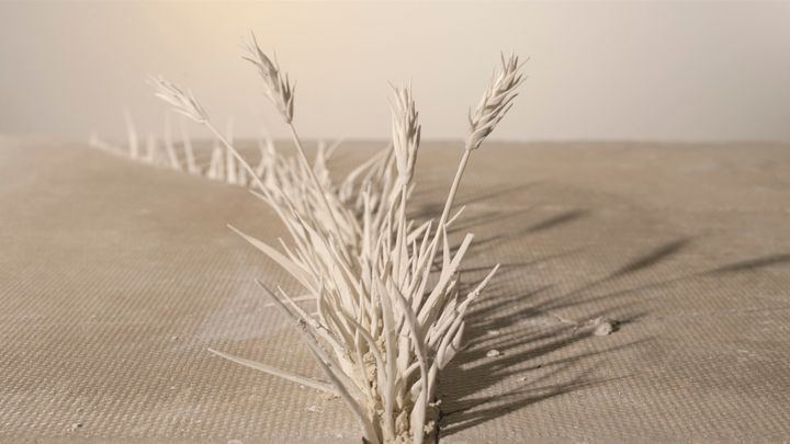 Katie Spragg: The Wilds of 5 Lely Court, 2016. (Katukiveyksen erämaa). Still.
Pysäytyskuva-animaatio / Stopframe animation.