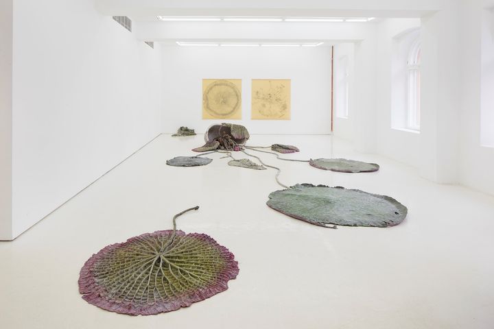 Roland Persson, Mouth of Medusa, 2018. Foto: Jussi Tiainen.
