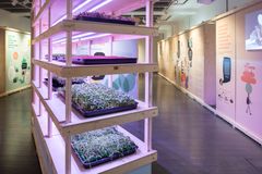 Urban Food, 2020 (exhibition view) / Photo: Yehia Eweis / Helsinki City Museum