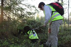 Fotograf Taina Keinänen/Röda Korset.  En person som spelar försvunnen hittades vid efterspaningsövningen i Taivalkoski genom samarbete mellan Marika Tiermas och hunden Moona.