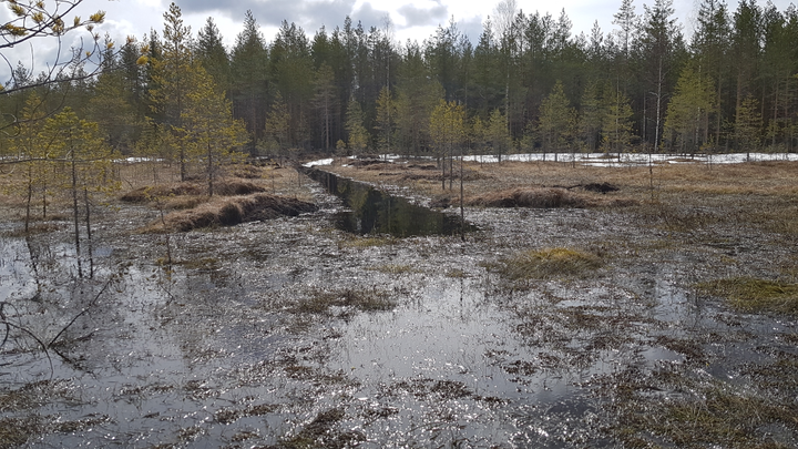 Onnistunut vedenpalautus Sonkajärvellä.