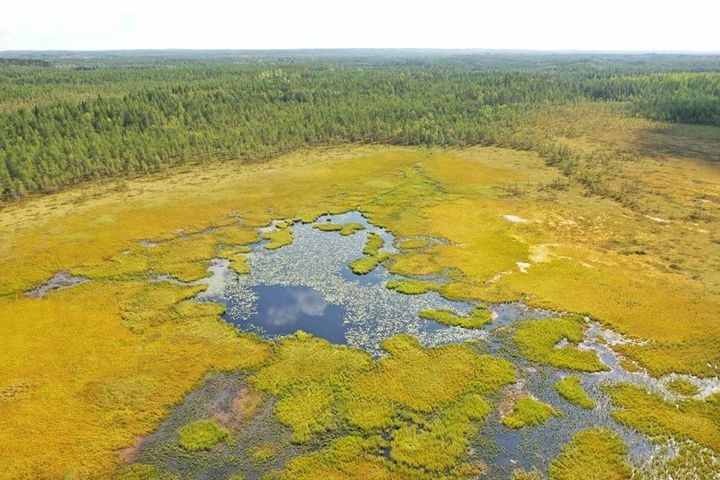 Kilpilampi Karstula. Kuva Lauri Kaisto