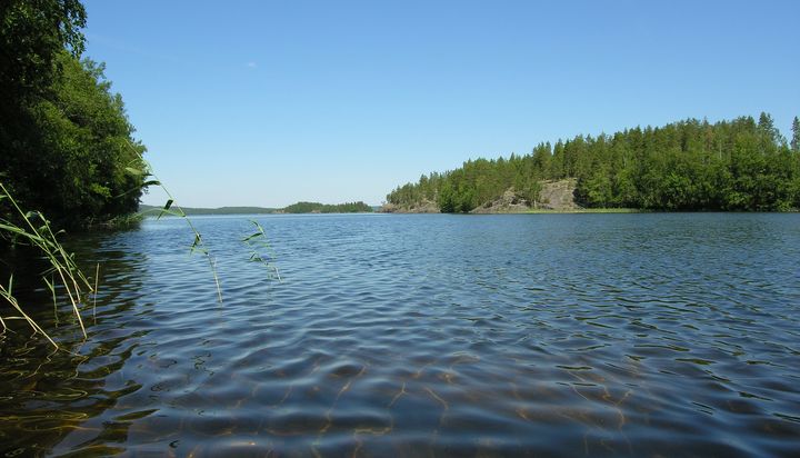 Eteläsavolaista järvimaisemaa. Vapaa julkaistavaksi.