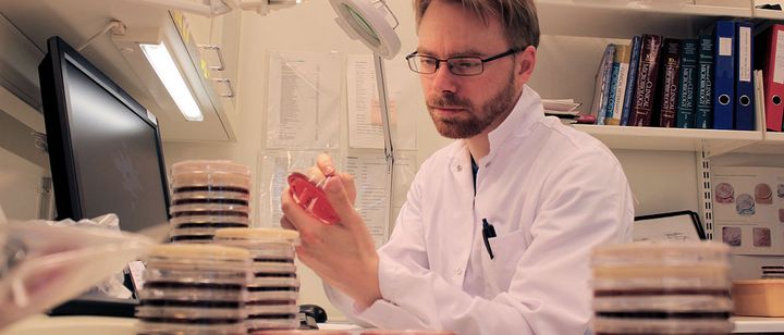 Tutkijaryhmä suosittelee, että eläinnäytteitä tutkivat laboratoriot seuraavat bakteerien herkkyyttä karbapeneemeille ja laajakirjoisille kefalosporiineille. Kuva: Thomas Grönthal
