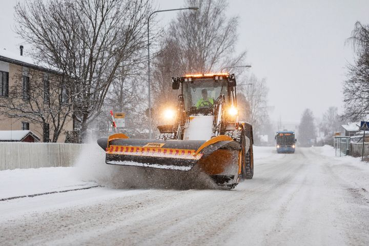 Plöjning i Skomakarböle. Bild: Roni Rekomaa.