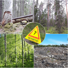 (Kuva: Jyväskylän yliopisto.)