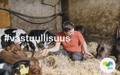 MTK haluaa Suomeen maailman parhaan ja toimivimman eläinten hyvinvointilain