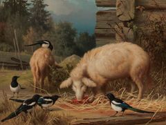 Ferdinand von Wright: Pigs and Magpies (1875), Finnish National Gallery / Ateneum Art Museum. Picture: Finnish National Gallery / Hannu Aaltonen