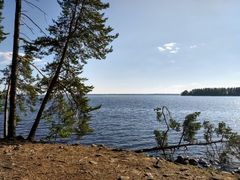 Pyhäselkä kesäkuun lopulla. Kuva: Ilkka Elo / Pohjois-Karjalan ELY-keskus.