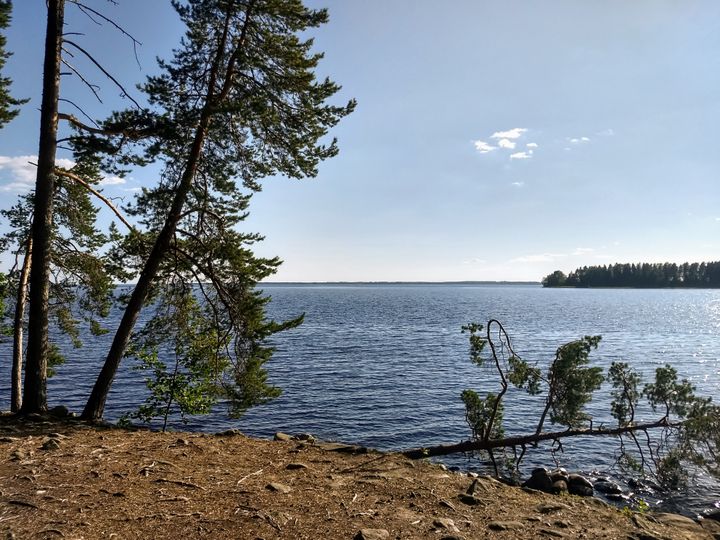 Pyhäselkä kesäkuun lopulla. Kuva: Ilkka Elo / Pohjois-Karjalan ELY-keskus.