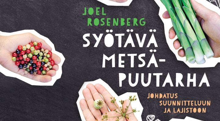 Metsäpuutarhuri siirtyy viljelijästä keräilijäksi ja sadon määritelmä laajenee.