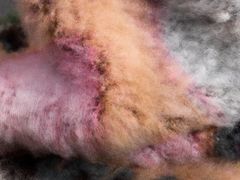 Interwoven – Yhteen kudotut 05.06.2019 - 01.03.2020, Hanna-Kaisa Korolainen, Aapisryijy, 2019, detail. Kuva / Photo: Ella Tommila / EMMA