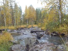 Tutkimuksessa mukana olleet Oulangan alueen purot kuvaavat tilannetta alueilla, joilla ihmistoiminta on vähäistä. Kuva Kaisa-Leena Huttunen
