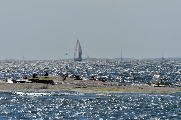 Katse horisontissa - näyttely merellisestä Espoosta. Kuva: Tommi Heinonen