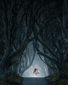 Kategoria: Masterpiece by EyeEm I Kuvaaja: Lorenz Holder I Urheilija: Senad Grosic I Lokaatio: The Dark Hedges, Pohjois-Irlanti