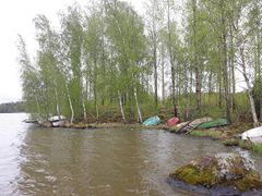 Uudet pientalokorttelit uhkaavat supistaa virkistykseen käytettäviä rantoja Lammasniemessä. Kuva: Ilari Rasimus