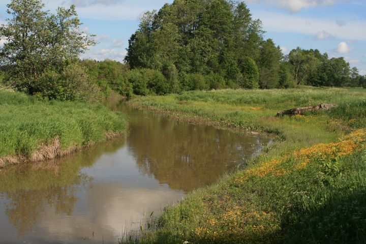 Stöd kan även beviljas för deltagande i gemensamma dikningsprojekt till en sökande som inte är berättigad till strukturstöd till jordbruket. Bilden visar översvämningsplatån, som anlades under grundtorrläggningsprojektet vid Lovisa å. Bild: Pas Lempinen