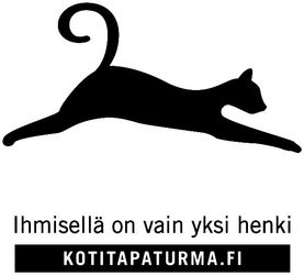 Kotitapaturmien ehkäisykampanja / Kampanjen mot hemolycksfall