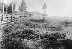 Kuva Levänluhdan muinaisjäännöksestä vuonna 1894. Ensimmäiset kaivaukset tehtiin vuonna 1886. Kuva: Alfred Leopold Hackman/Museovirasto