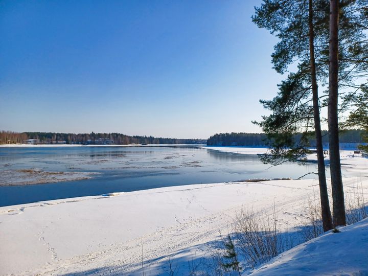 Oulujoki Muhos Muhoslammen suuntaan 17.3.2022.