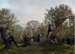 Hertog Nadler, Harvest, 2013, still-kuva HD-filmistä