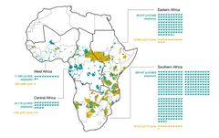 Kuvio 1. Leijonan (Panthera leo) and norsun (Loxodonta Africana ja Loxodonta cyclotis) levinneisyys ja suojelualueet. Credit: Di Minin et al.