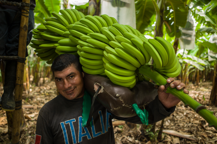 Kuva: Fairtrade