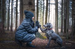 Vahva kiintymys koiran ja omistajan välillä näyttää tutkimuksen mukaan  toimivan koiran stressin lievittäjänä. Kuvituskuva.