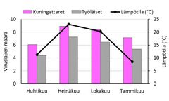 Muurahaiskuningattarilla (pinkillä) on keskimäärin enemmän eri viruslajeja kuin työläisillä (harmaalla).