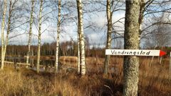 Kuva: Auri Koivuhuhta / Pirkanmaan ELY-keskus