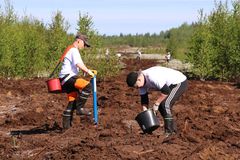 4H:n ja UPM:n yhteistyössä tarjotaan 60 yhdeksäsluokkalaiselle kesätyömahdollisuutta metsänistutustöissä Lahden, Kuopion ja Jyväskylän alueilla. Kuva: Tiina Rinne / Suomen 4H-liitto.