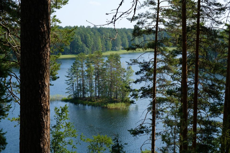 Punkaharju harjualue