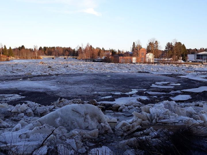 Kyrönjoella Ylistaron Kylänpäässä kertyi jäitä 30.3.2021.