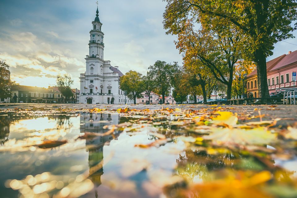 Andrius Aleksandravičius_Kaunas Town Hall