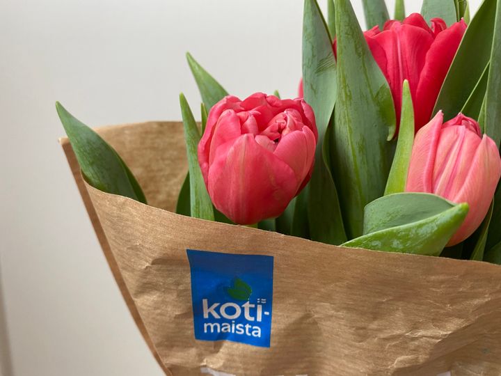 S-ryhmän oman Kotimaista-merkin tulppaaneissa aiemmin käytetty muovinen kääre vaihdettiin tänä vuonna FSC-sertifioituun paperikääreeseen. Kuva: SOK/Laura Friman