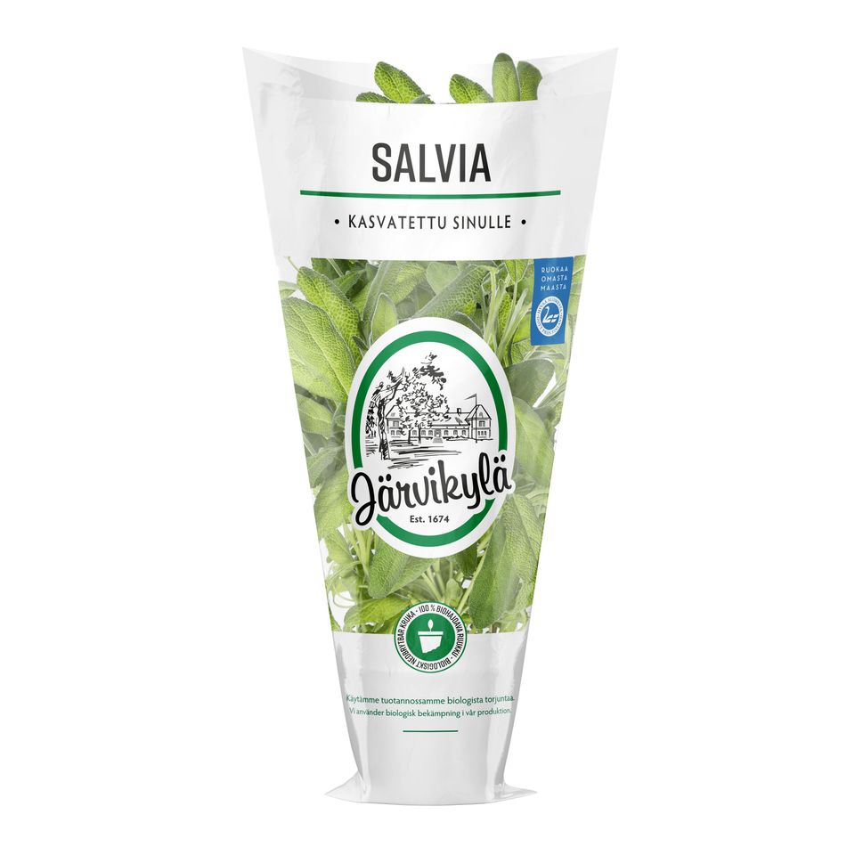 Järvikylän salvia