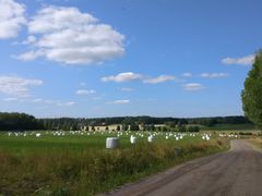 Kuvituskuva: Tenholan peltoja. Kuva MKP