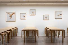 Nayab Ikram: Symbios, 2022 / Bild: HAM/Sonja Hyytiäinen