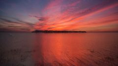 Helsinki Biennaali, Vallisaari. Kuva: Helsinki Biennaali